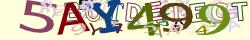 Retype the CAPTCHA code from the image